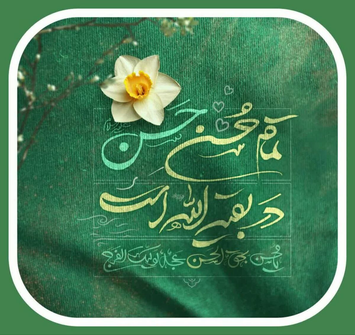 میلاد امام حسن مجتبی (س)در میان غم و امید