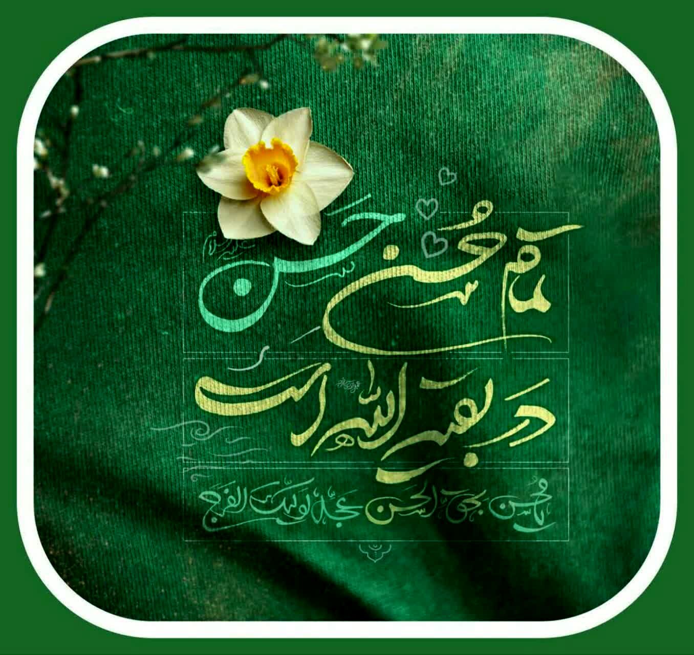 میلاد امام حسن مجتبی (س)در میان غم و امید