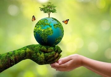 طبیعت در محاصره بحران؛ ردپای تخریب از جنگل تا زندگی مردم