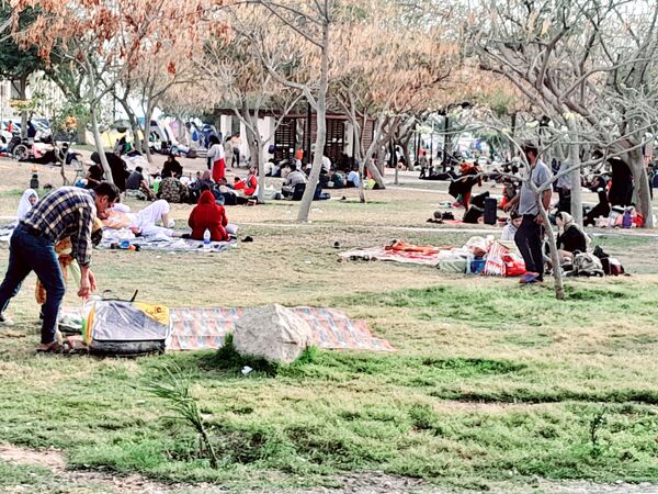 روز طبیعت در بوشهر