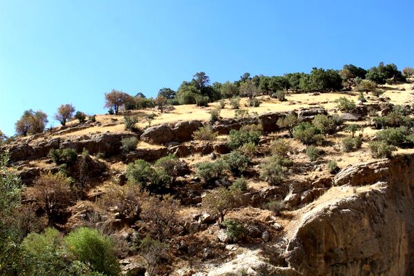 تنگه گردو‌ کنگک چشمه‌ای در دل طبیعت