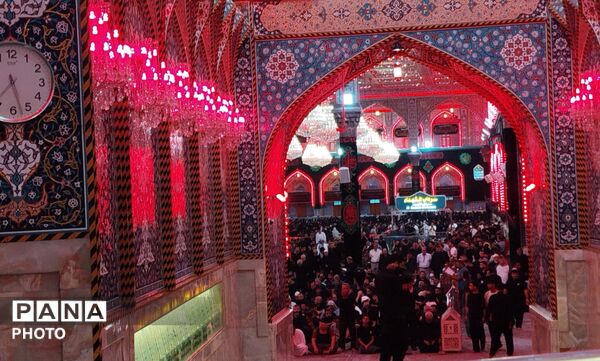 از نجف تا کربلا؛ روایت شهری که عشق را معنا می‌کند