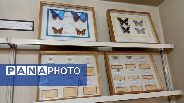 بازدید خبرنگاران پانا از موسسه گیاه شناسی کشور 