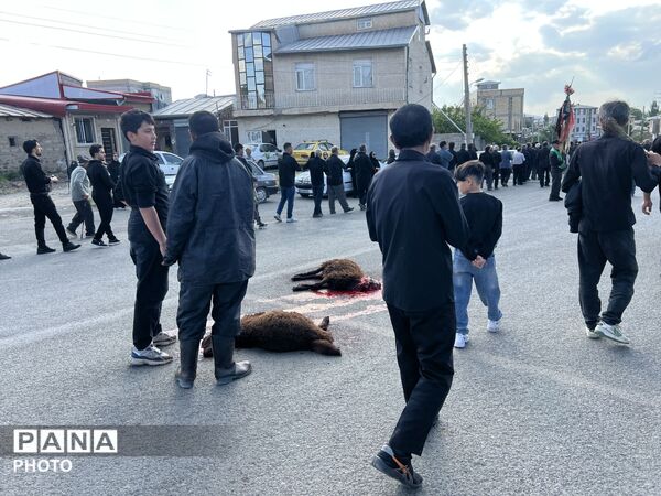 آیین طشت گذاری در روستای خوجین شهرستان خلخال