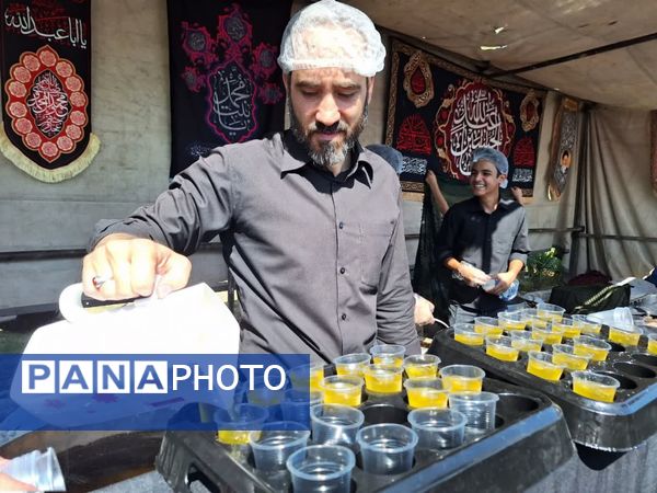 اربعین حسینی در شهرستان کاشمر 