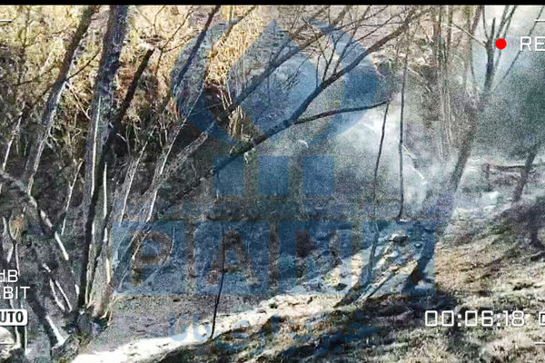 بیش از ۲۰ هکتار از اراضی کشاورزی دشت سربیسانان بلبان‌آباد در آتش سوخت