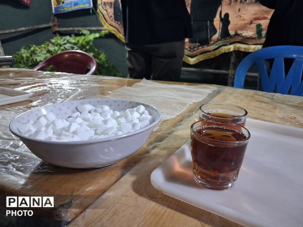 تجلی ایثار و عشق در بلوار فضل نیشابور 