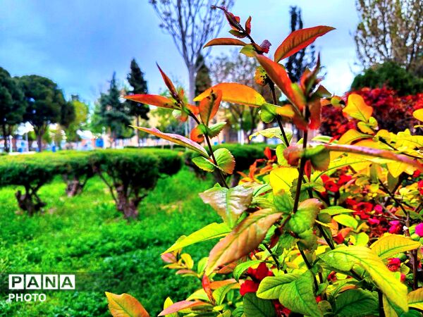 بهار مهمان امامزاده سید حمزه