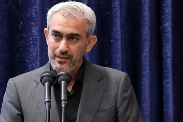 مدنی‌زاده: برخی شرکت‌های بیمه دچار مشکل شده‌اند/ افق ۱۴۱۴ صنعت بیمه باید تدوین شود