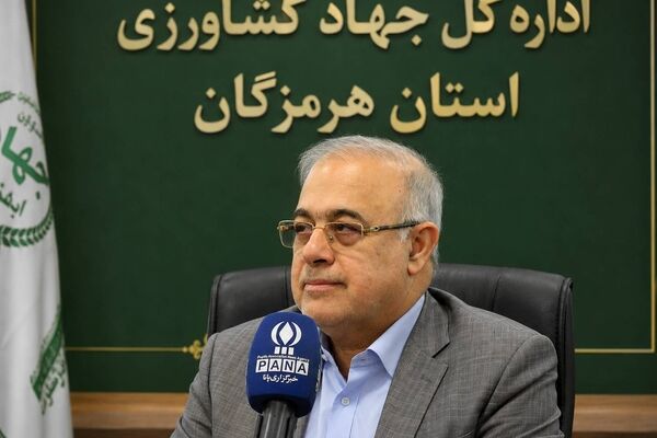 شهرداری‌ها و دهیاری‌ها، معماران سرمایه اجتماعی و پیشران توسعه پایدار هستند