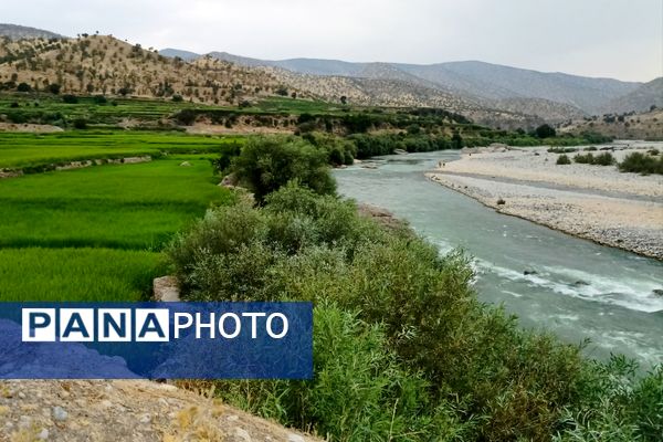 نجوای ارمند؛ سمفونی طبیعت در آبچنار