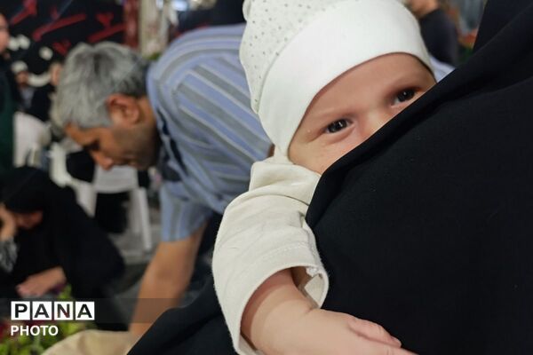 دیدار یاران، در گلزار شهدای ملارد