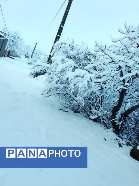 رقص دانه‌های برف در آسمان خاتم؛ شور و هیجان کودکان