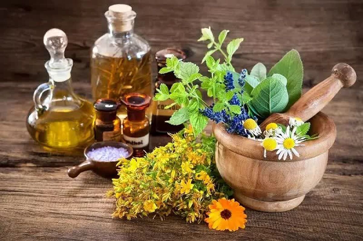 فارس قطب تولید گیاهان دارویی کشور

