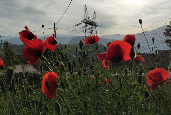 روستای شلیل نگین سرسبزی در دل کوه‌های میانکوه