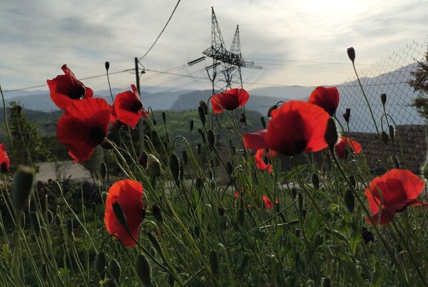 روستای شلیل نگین سرسبزی در دل کوه‌های میانکوه