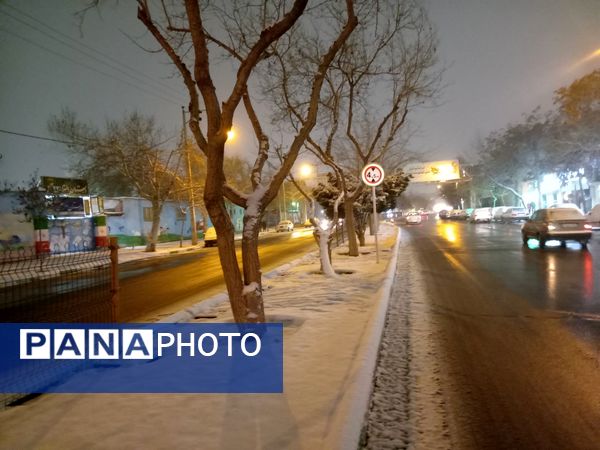 بارش برف در شهر مشهد 