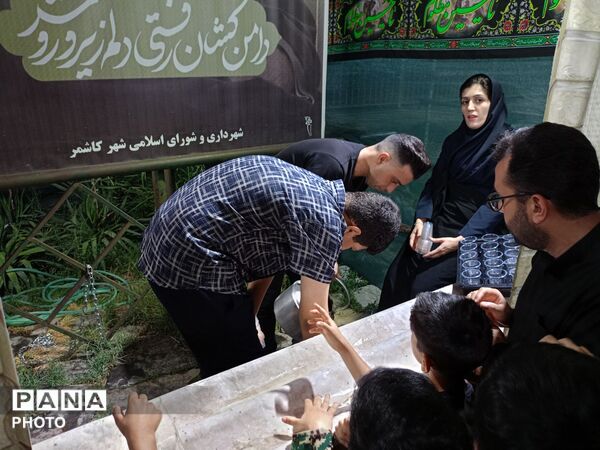 خاص ترین قاب های محرم خیابانی کاشمر