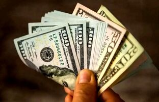 بازار ارز فقط از سیاست‌های دولت نشأت نمی‌گیرد