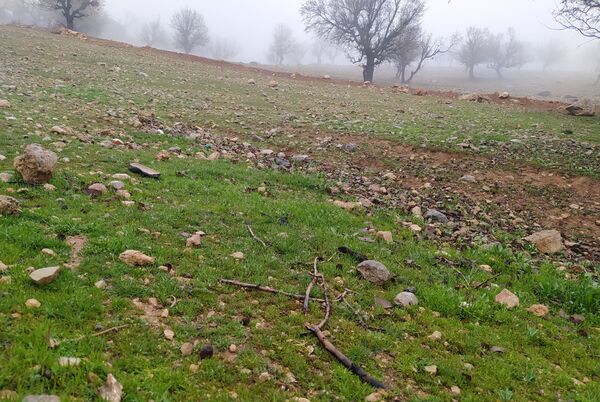 میانکوه سال ۱۴۰۴ خود را متفاوت شروع کرد