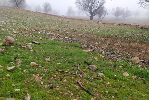 میانکوه سال ۱۴۰۴ خود را متفاوت شروع کرد