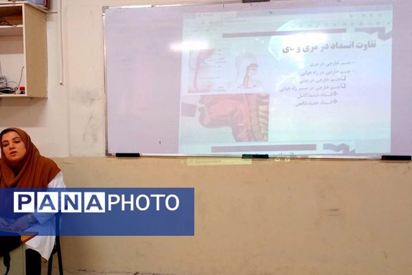 از کلاس تا سلامت؛ آموزش، نشاط، زندگی