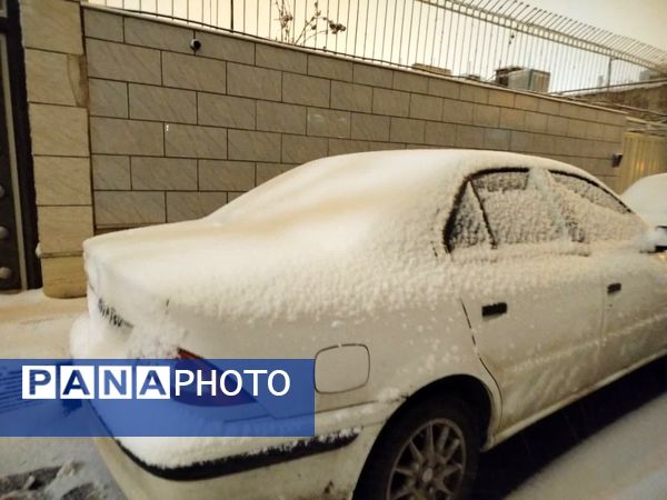 برف میهمان کاشمر شد