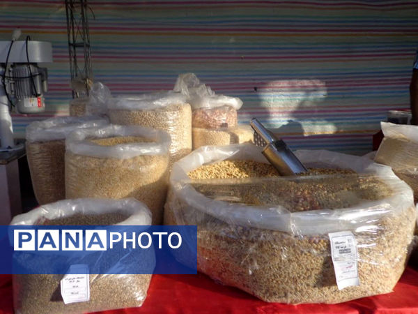 دومین نمایشگاه گل و گلاب در پردیسان قم