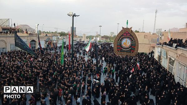 آیین دیرینه نخل برداری آخر ماه صفر در شهرستان تفت