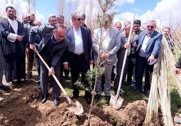 کاشت نهال؛ نماد تلاش جمعی برای محیط زیست سبز ایران