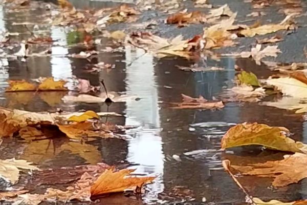 جلوه هایی از باران پاییزی در کاشمر