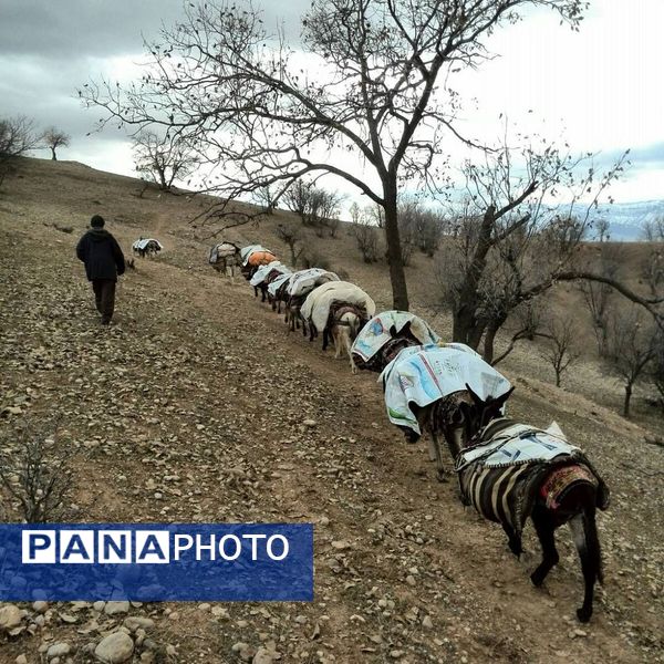  سرزمین عشق در دل سختی‌ها