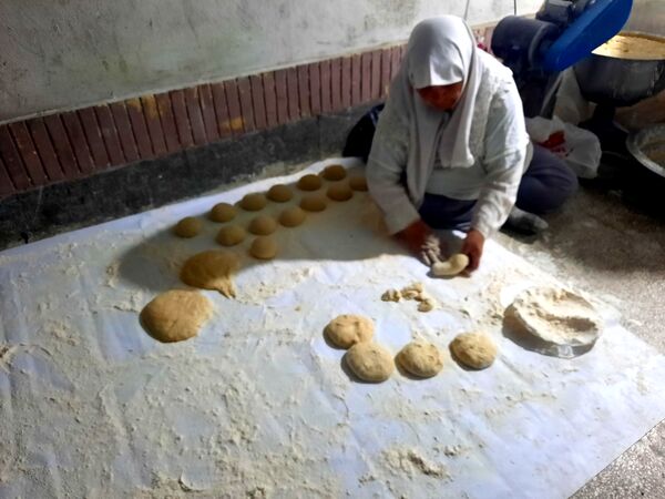 زائران پیاده شهرستان فردوس در دبیرستان شاهد مهدی حکمت