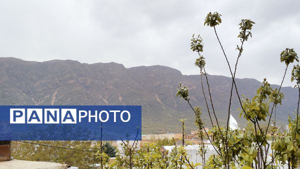 باران بهاری؛ ملودی زندگی در بستر طبیعت