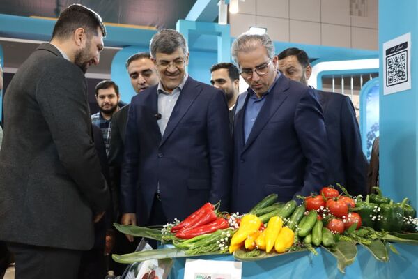 دوازدهمین نمایشگاه دستاوردهای پژوهش، فناوری و فن‌بازار در یزد آغاز به کار کرد