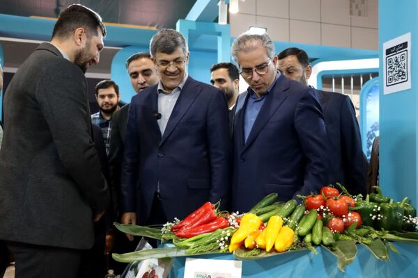 دوازدهمین نمایشگاه دستاوردهای پژوهش، فناوری و فن‌بازار در یزد آغاز به کار کرد