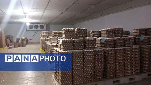 سفر معاون وزیر جهاد کشاورزی به کاشمر