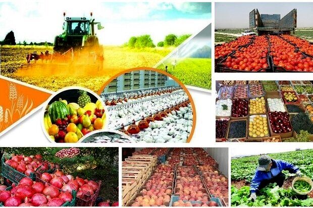 نشست هم اندیشی معاونان وزارت جهاد کشاورزی و نمایندگانی از بخش خصوصی با حاشیه‌هایی برگزار شد