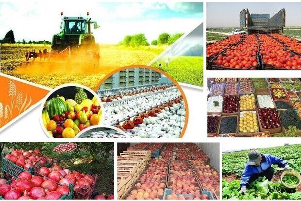 نشست هم اندیشی معاونان وزارت جهاد کشاورزی و نمایندگانی از بخش خصوصی با حاشیه‌هایی برگزار شد