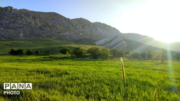 طبیعت دَستَنا؛ جلوه‌ای کم‌نظیر از آرامش و زیبایی در دل چهارمحال و بختیاری