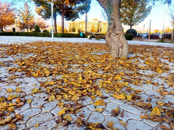 طبیعت زیبای کاشمر در پاییز