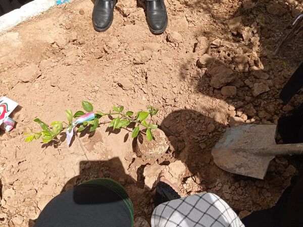 هر نهال، یک امید برای ایران