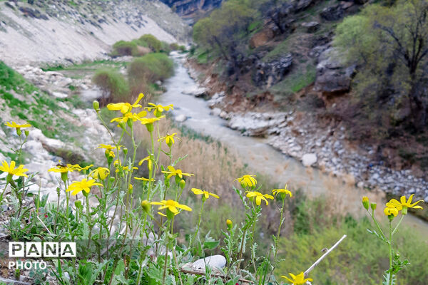 طبیعت روستای بیدله به هنگام بهار