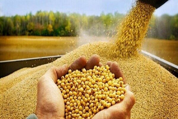 ورود ۱۰ فروند کشتی حامل نهاده‌های دامی به کشور در دو ماهه اخیر