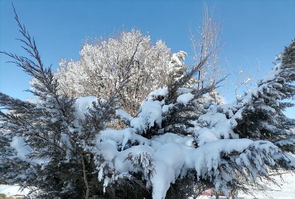 برف زمستانی مهمان دوباره‌ بروجن