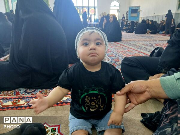 از نوزادی تا عشقِ بی‌کران؛ روایتِ اشک و ایمان در شبِ شیرخوارگان