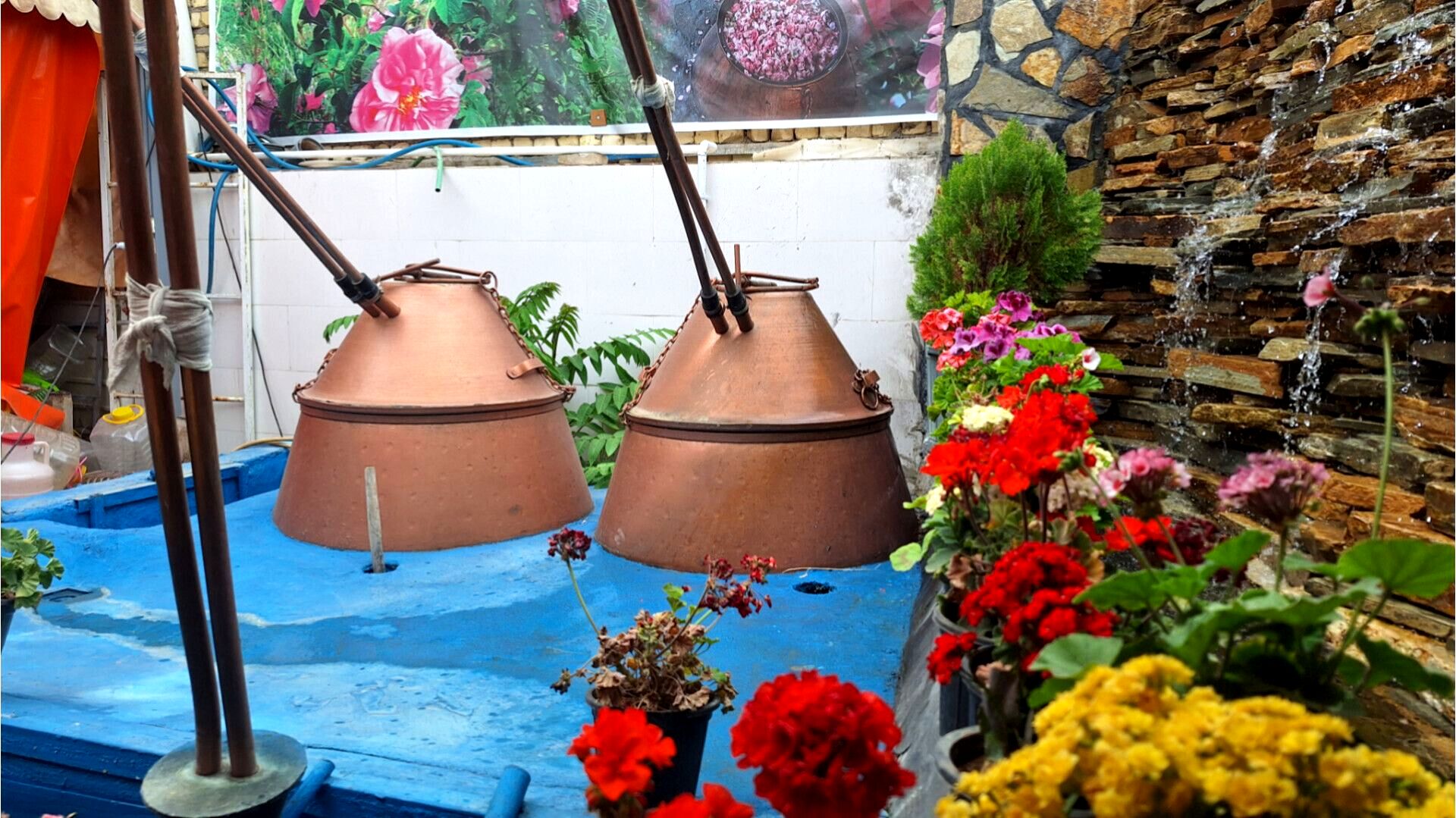 آخرین روزهای فصل گلاب‌گیری در کاشان؛ از دیگ‌های مسی تا شیشه‌های گلاب
