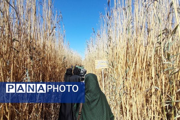 اعزام دانش آموزان اسلامشهر به سرزمین نور 