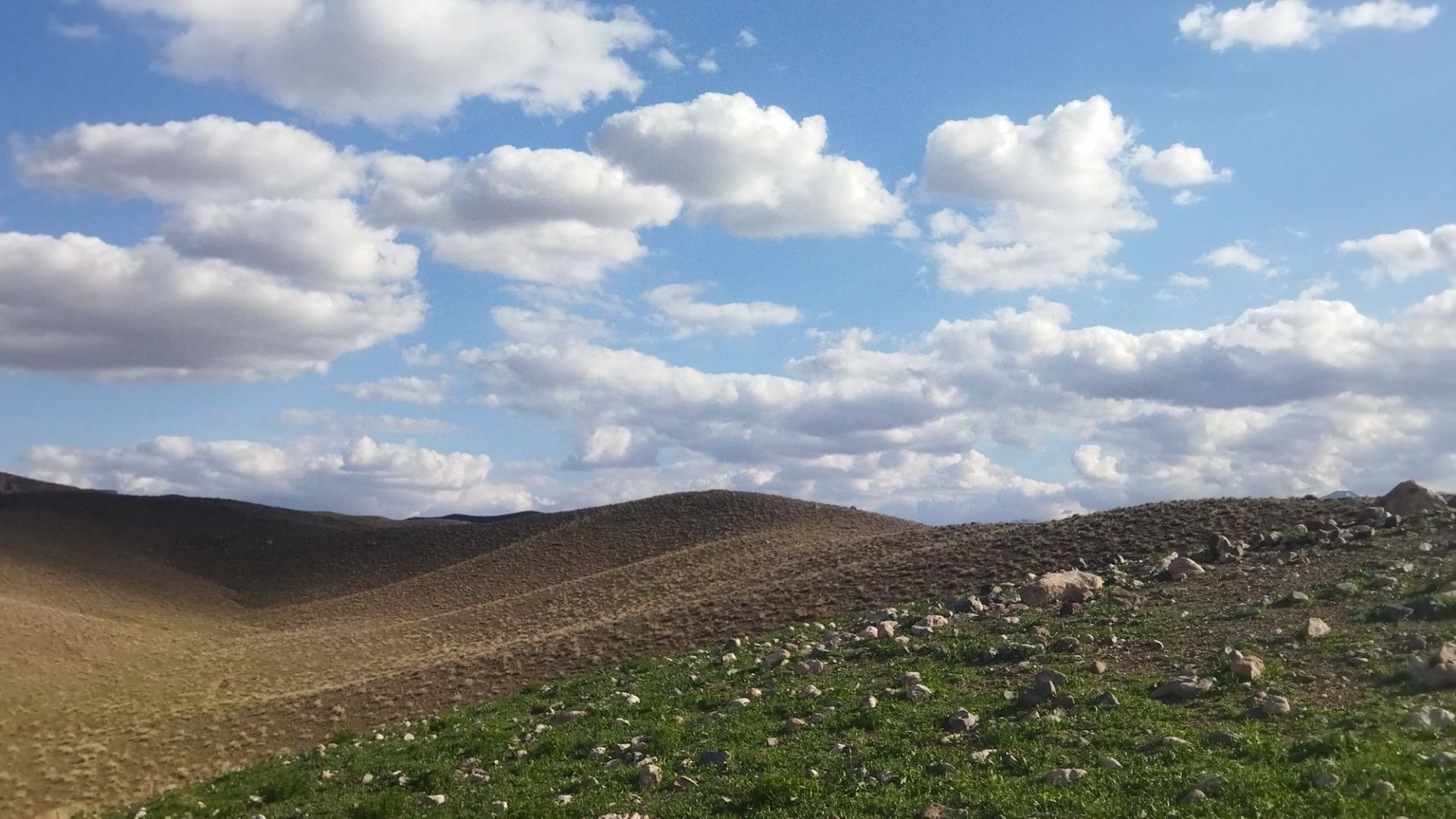 کوه های گچین میزبان بهار شدند 