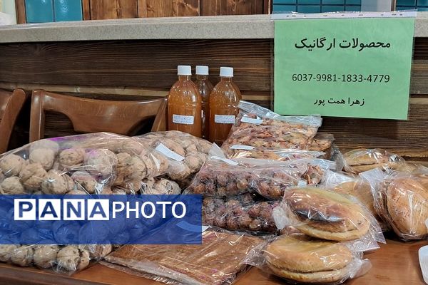 حمایت از کسب وکار بانوان کار آفرین در دماوند